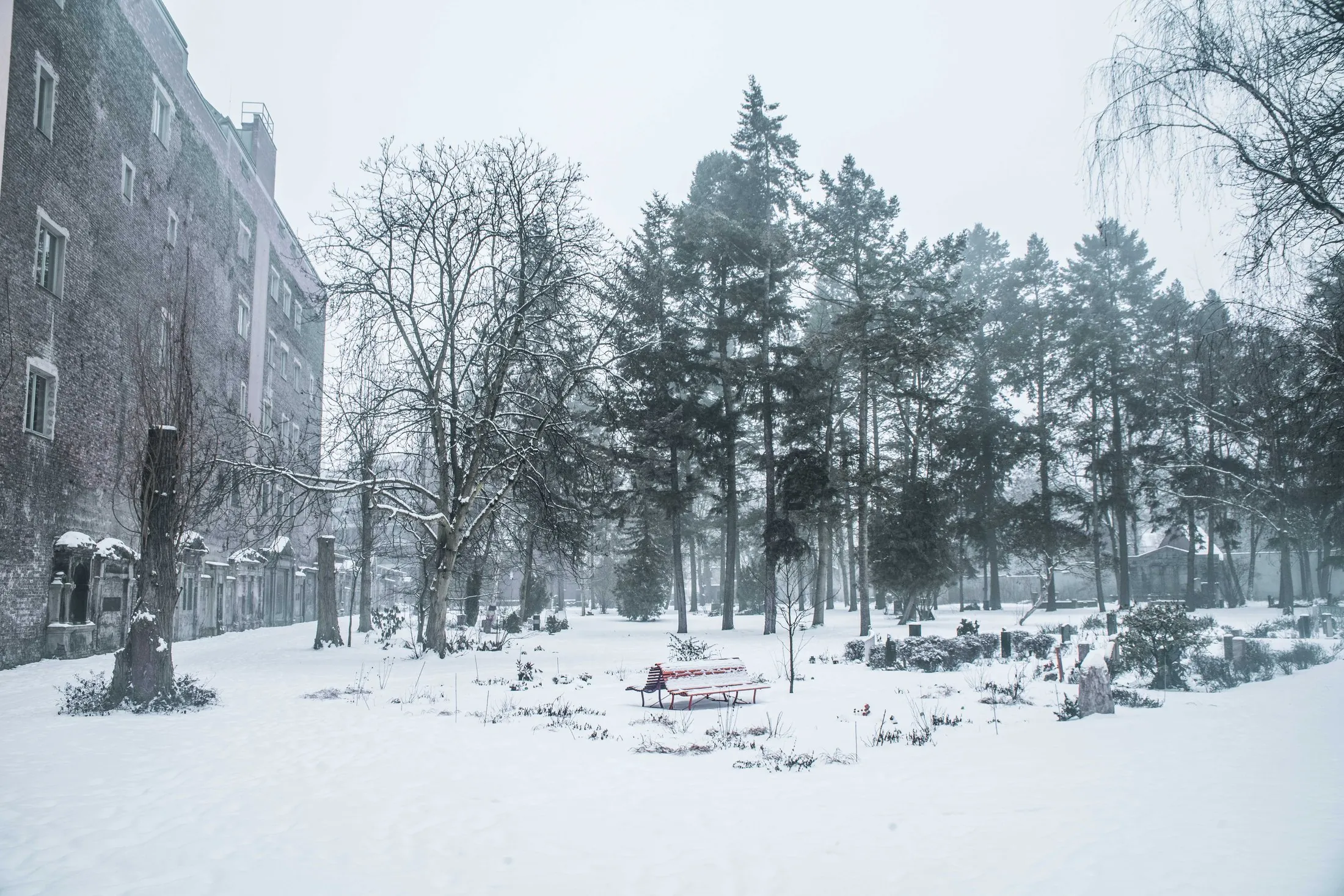 Winterlicher Friedhof